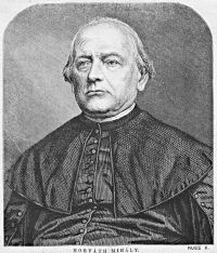 5. kép: Horváth Mihály (1809–1878), a „demokrácia történetírója”